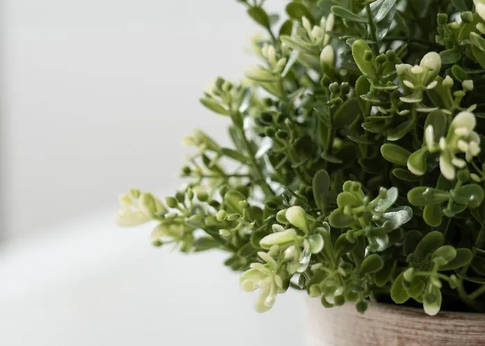 Διαμέρισμα De Heek Valkenburg aan de Geul