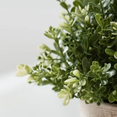 Apartamento De Heek Valkenburg aan de Geul